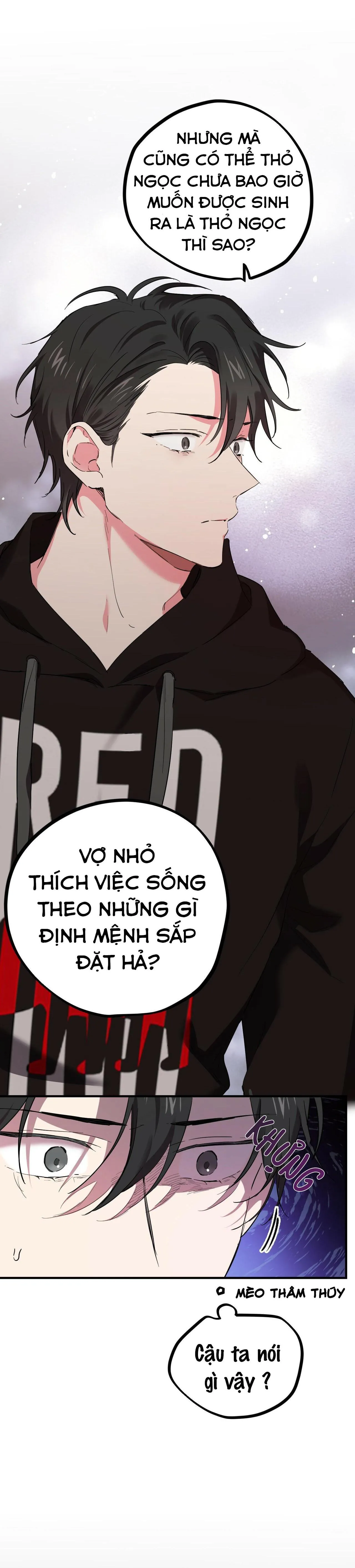 NHỮNG CHÚ THỎ CỦA HABIBI Chapter 5 Trang 24
