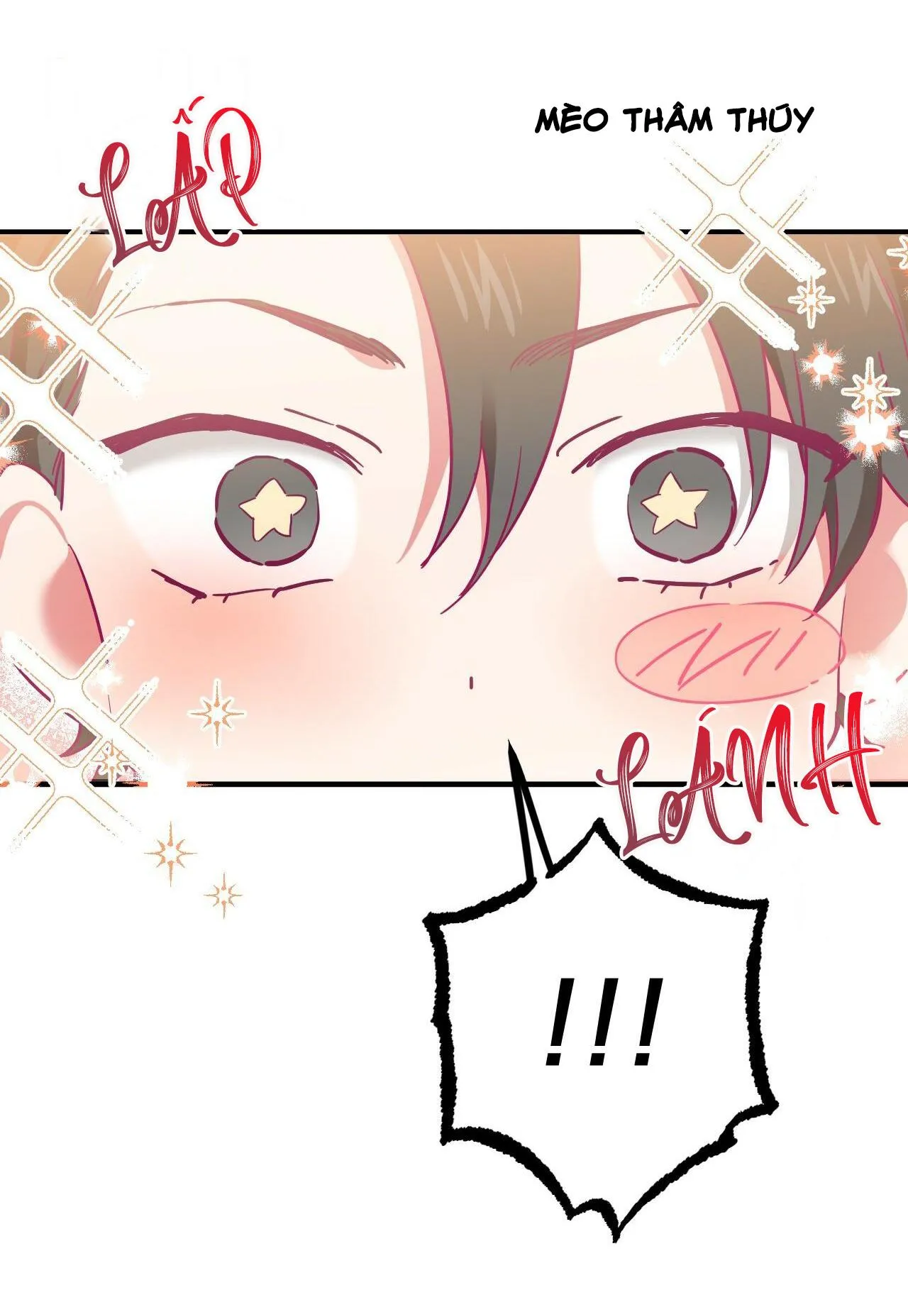 NHỮNG CHÚ THỎ CỦA HABIBI Chapter 6 Trang 37