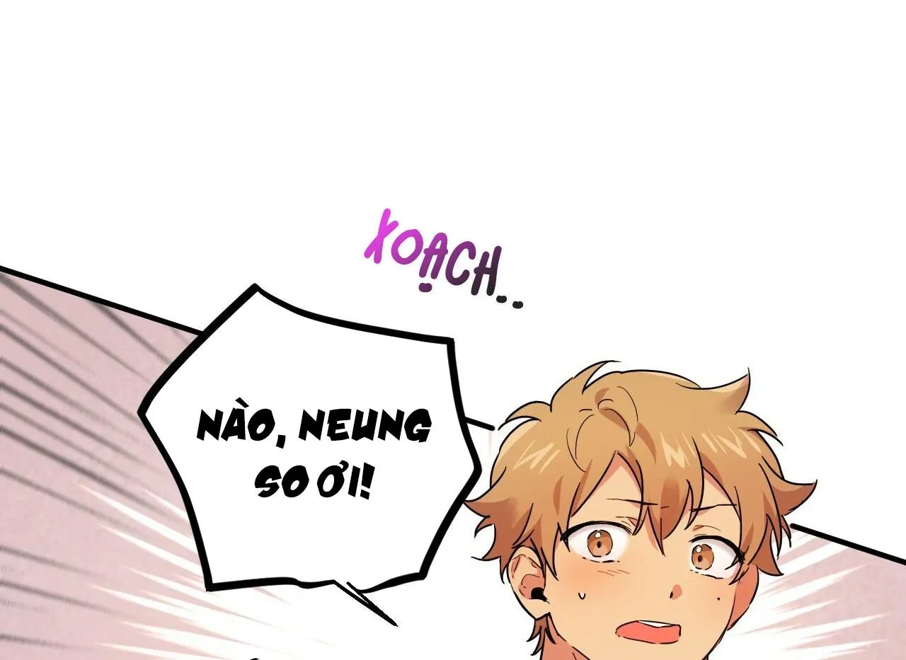 NHỮNG CHÚ THỎ CỦA HABIBI Chapter 6 Trang 66