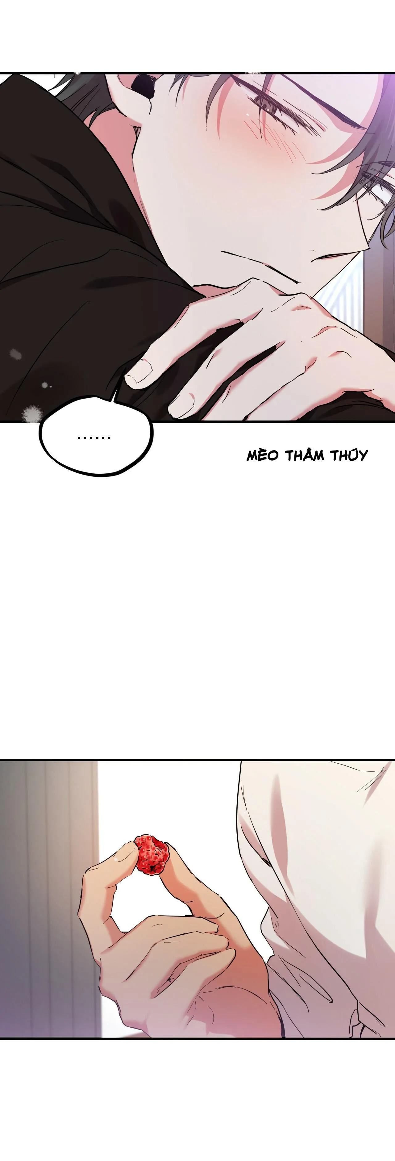 NHỮNG CHÚ THỎ CỦA HABIBI Chapter 7 Trang 35