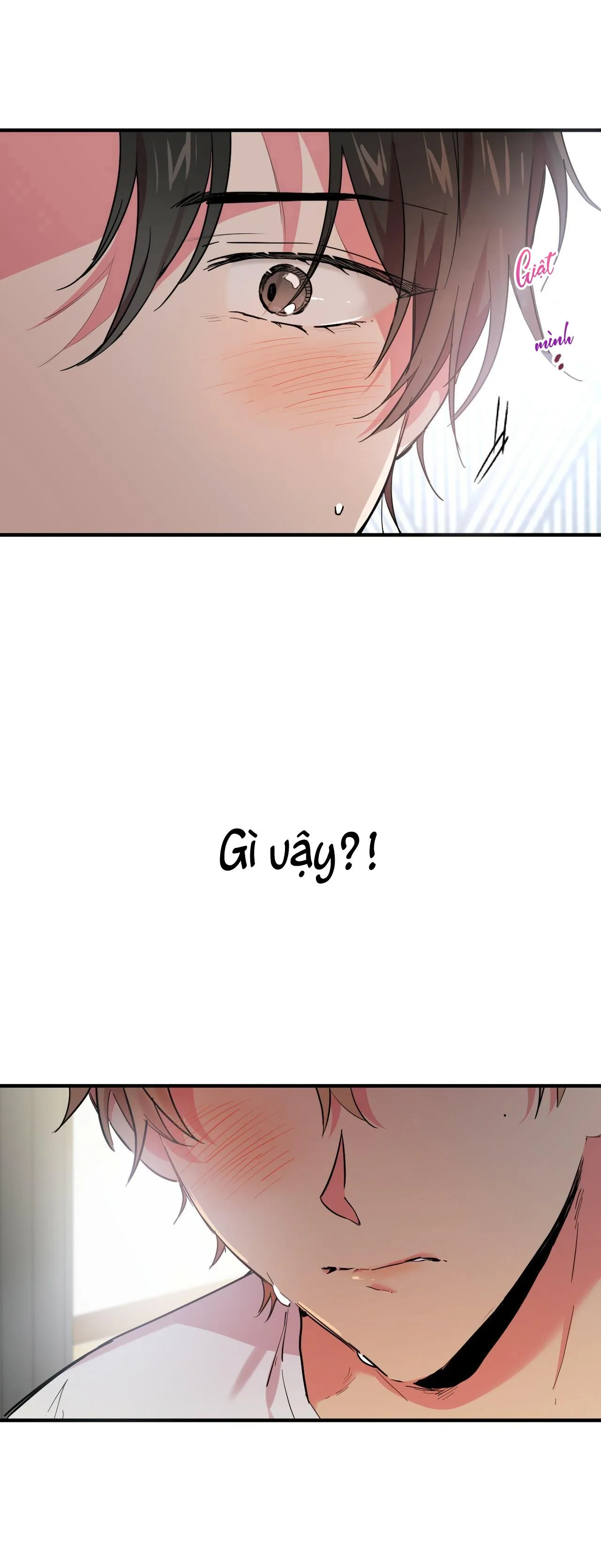 NHỮNG CHÚ THỎ CỦA HABIBI Chapter 7 Trang 46