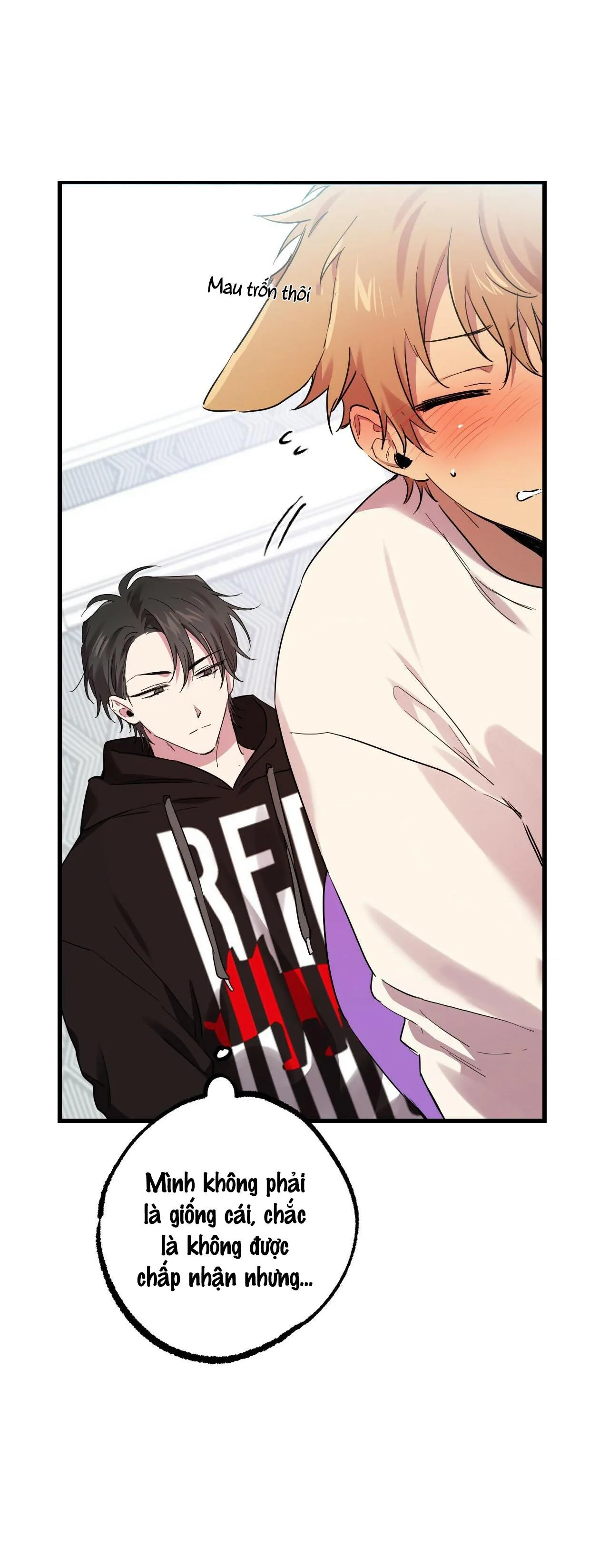 NHỮNG CHÚ THỎ CỦA HABIBI Chapter 8 Trang 17