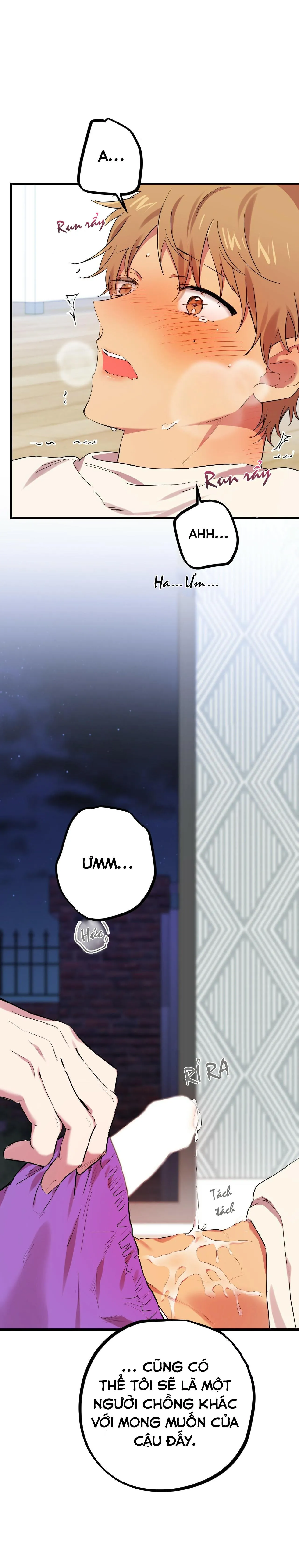 NHỮNG CHÚ THỎ CỦA HABIBI Chapter 8 Trang 42