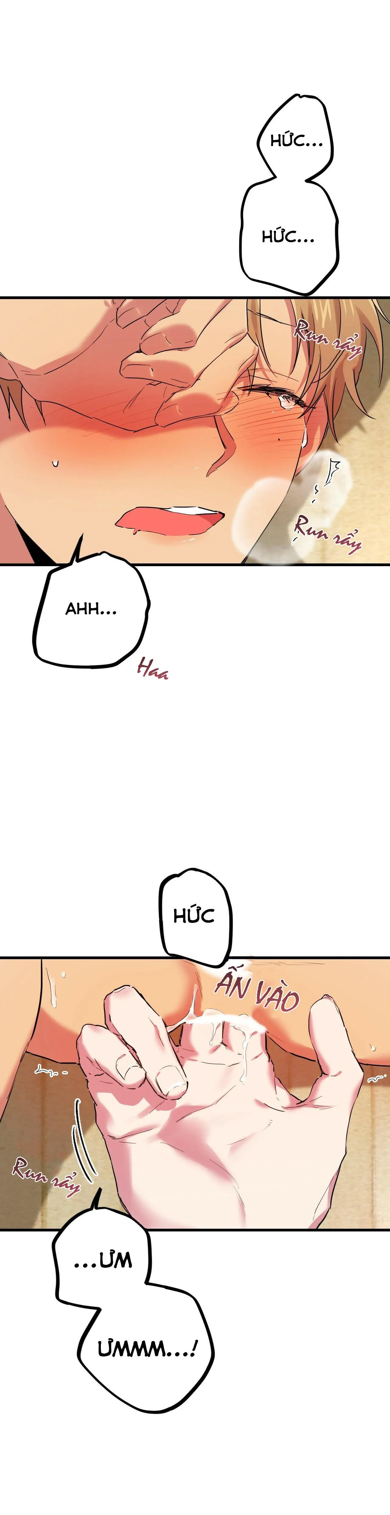 NHỮNG CHÚ THỎ CỦA HABIBI Chapter 8 Trang 47