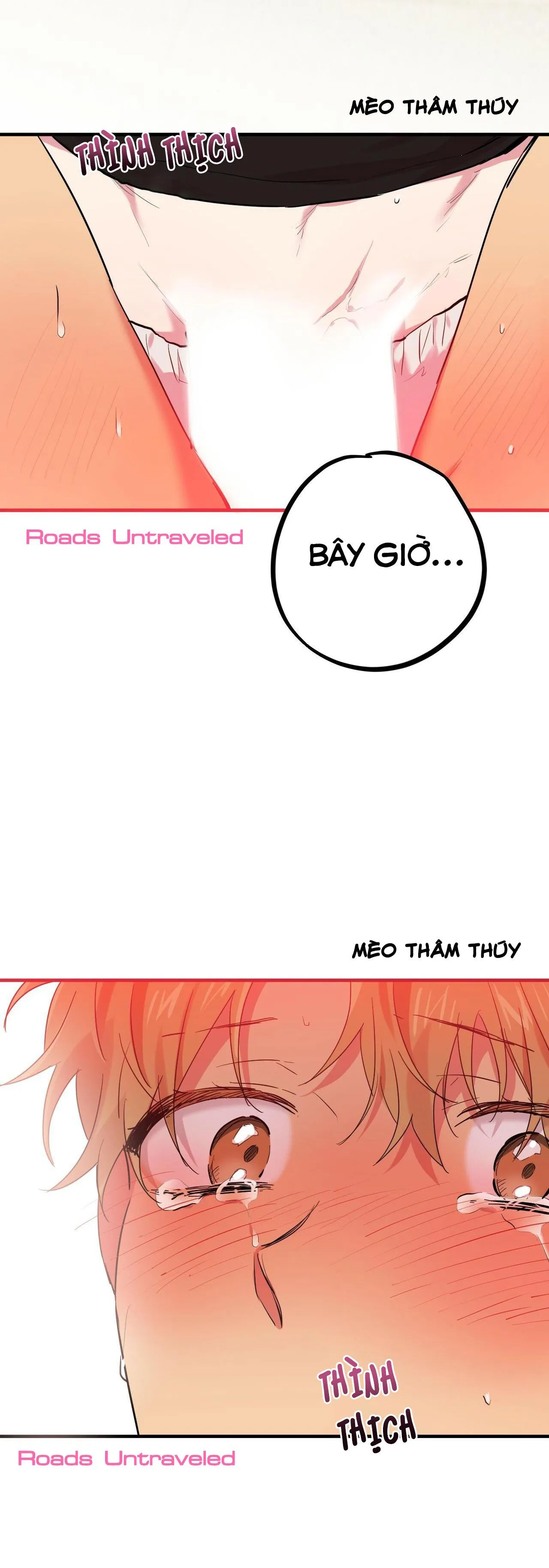 NHỮNG CHÚ THỎ CỦA HABIBI Chapter 9 Trang 13