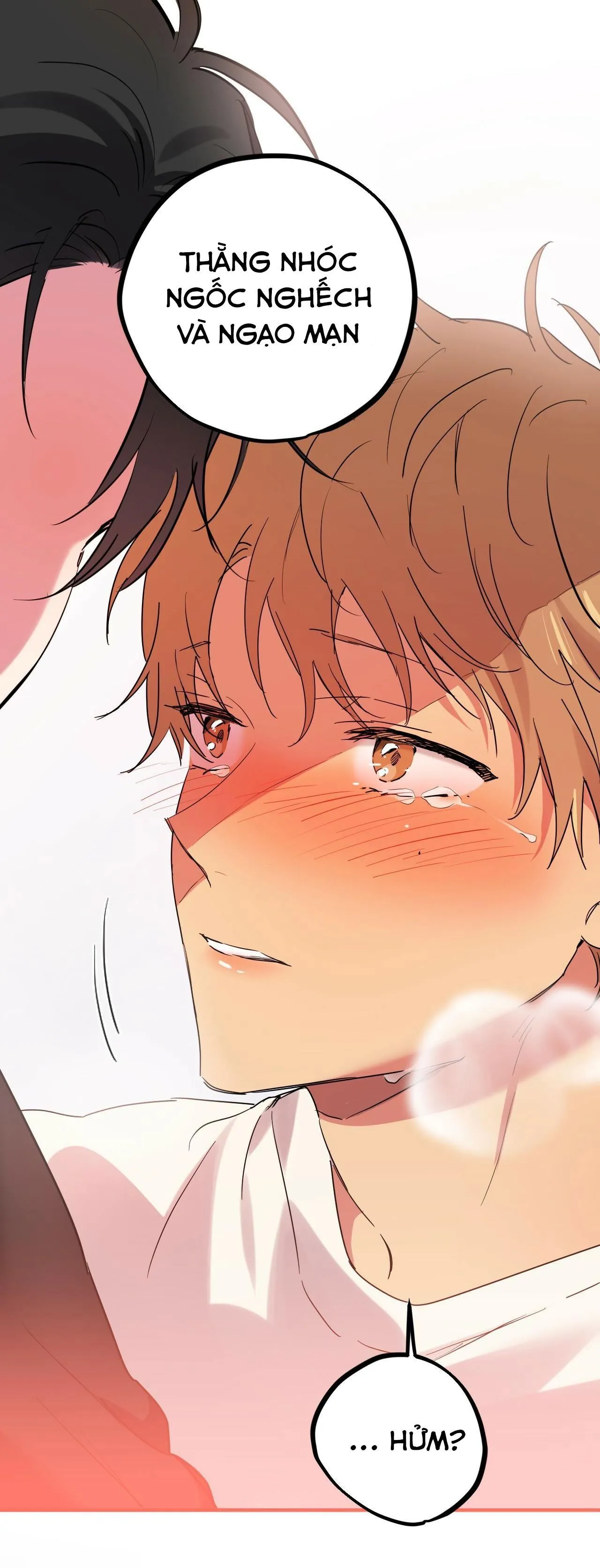 NHỮNG CHÚ THỎ CỦA HABIBI Chapter 9 Trang 26