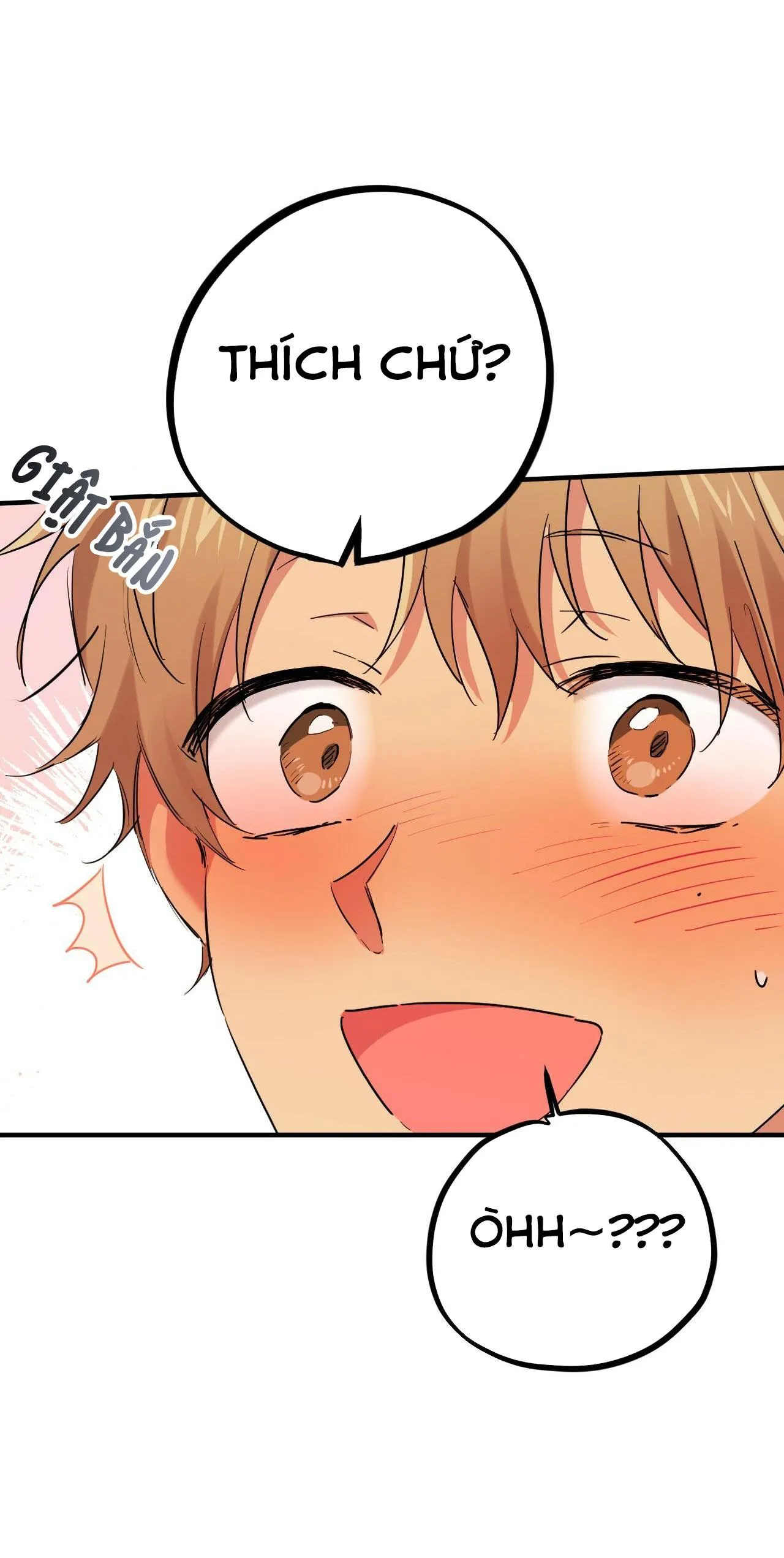 NHỮNG CHÚ THỎ CỦA HABIBI Chapter 9 Trang 54