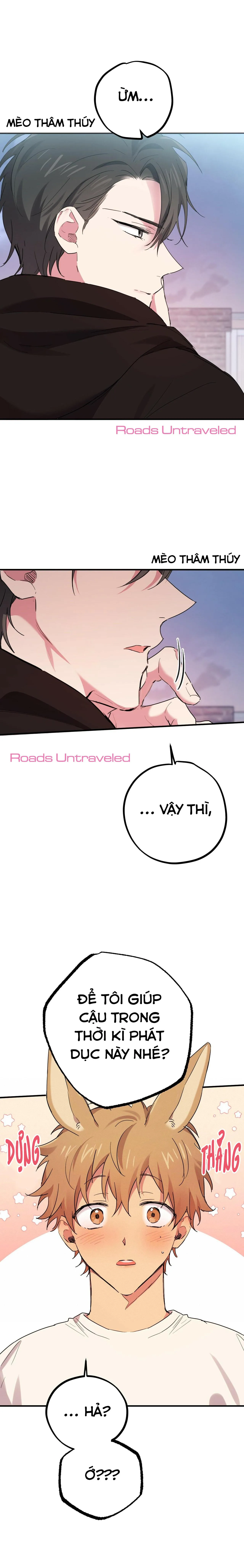 NHỮNG CHÚ THỎ CỦA HABIBI Chapter 9 Trang 59