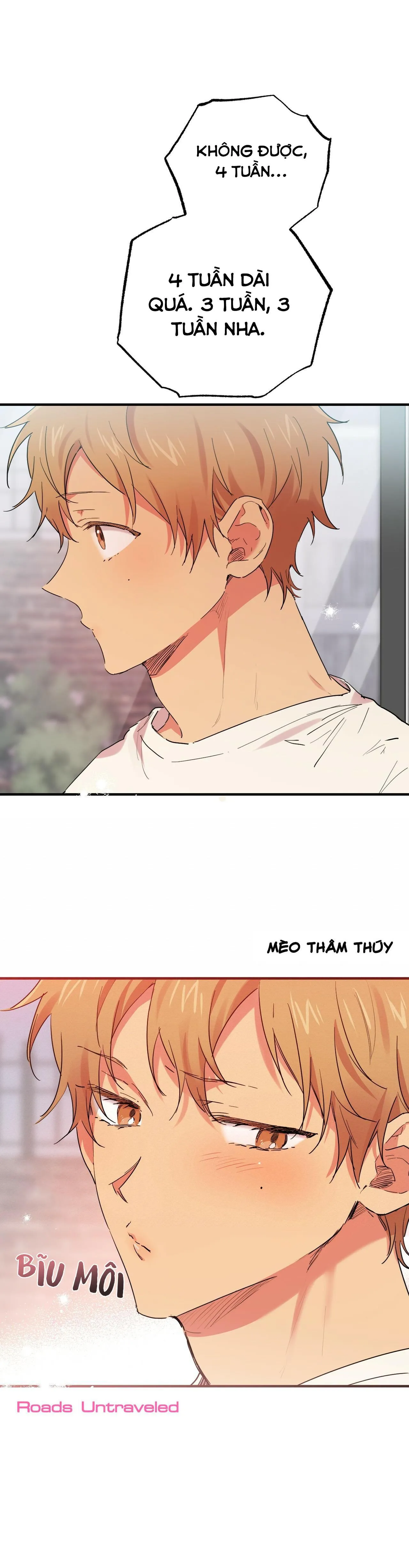 NHỮNG CHÚ THỎ CỦA HABIBI Chapter 10 Trang 5