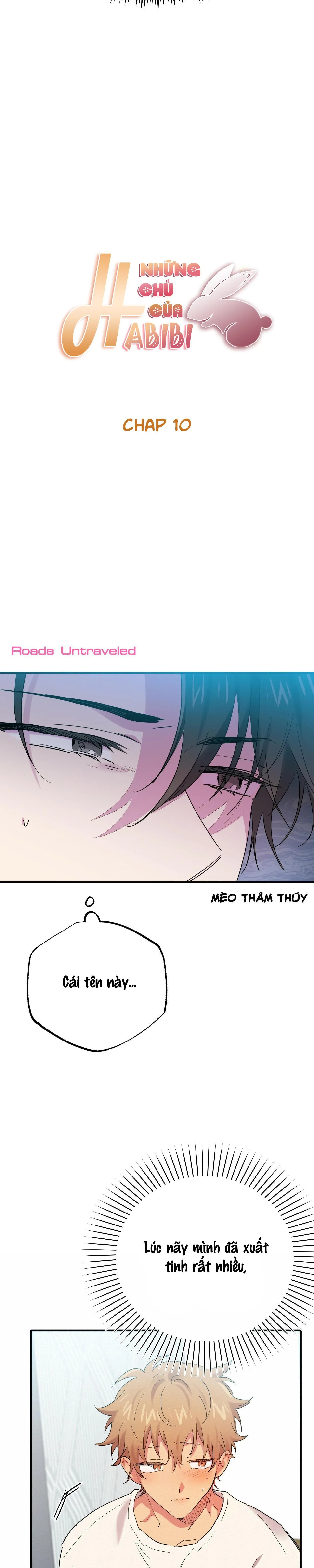 NHỮNG CHÚ THỎ CỦA HABIBI Chapter 10 Trang 9