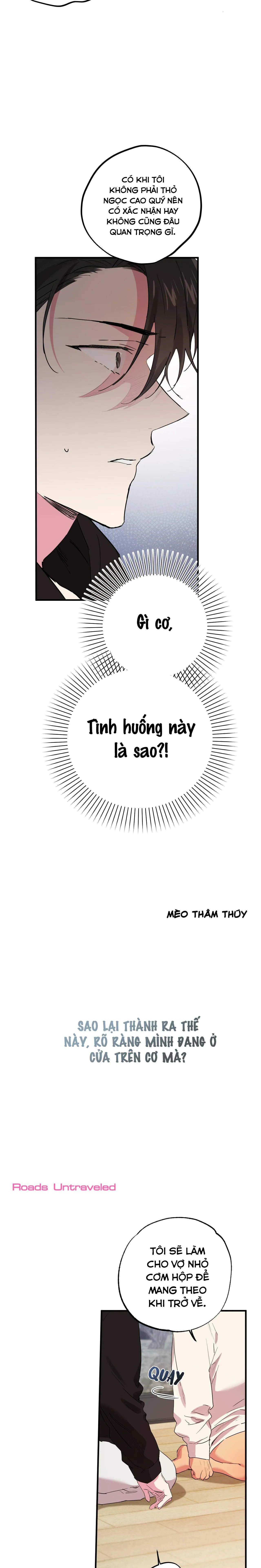 NHỮNG CHÚ THỎ CỦA HABIBI Chapter 10 Trang 16