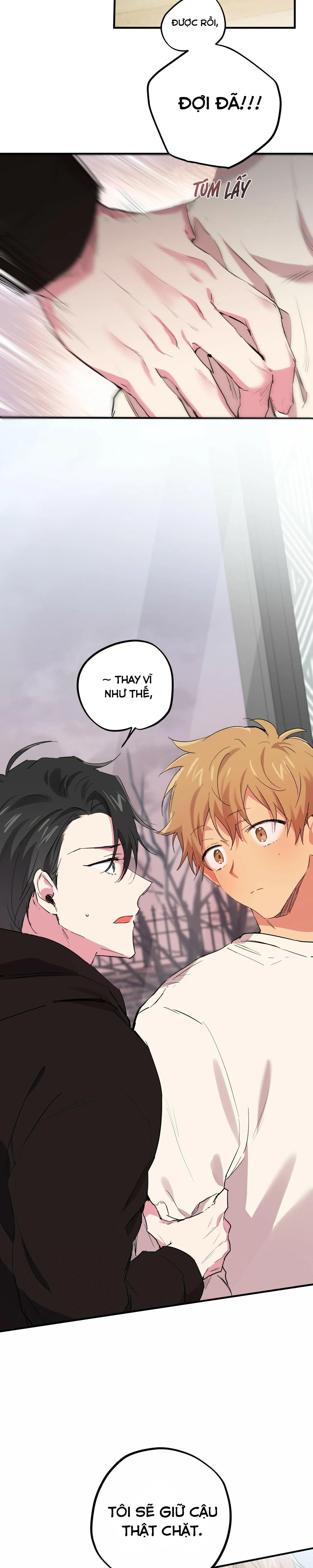 NHỮNG CHÚ THỎ CỦA HABIBI Chapter 10 Trang 17