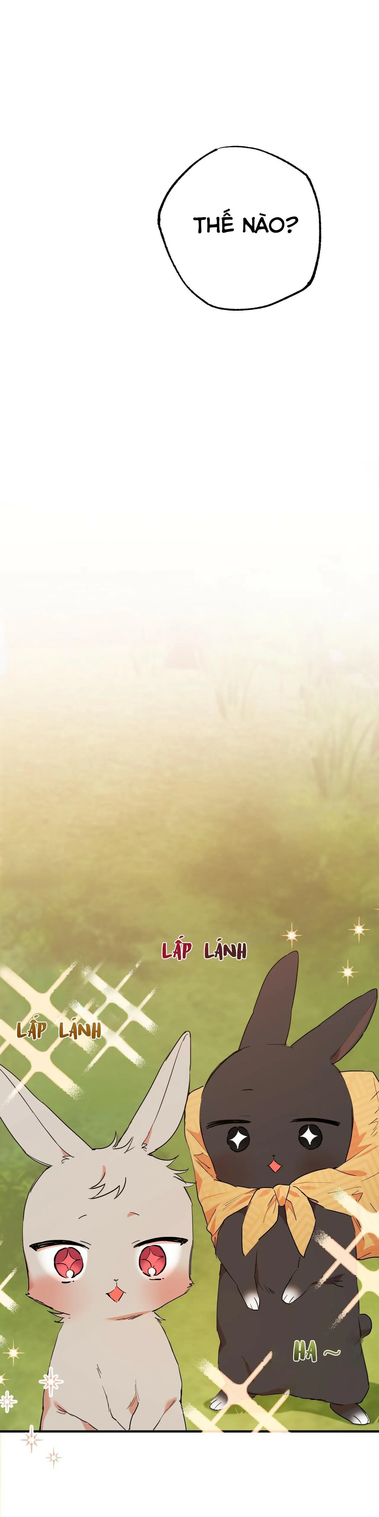 NHỮNG CHÚ THỎ CỦA HABIBI Chapter 10 Trang 25