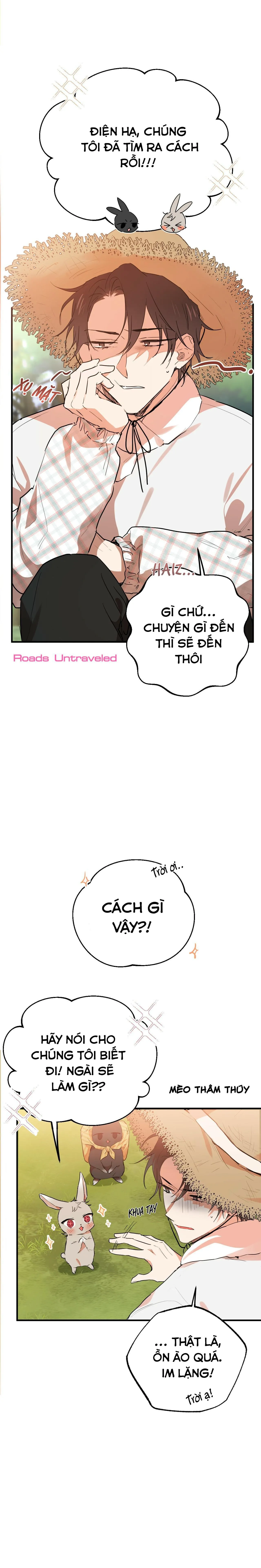 NHỮNG CHÚ THỎ CỦA HABIBI Chapter 10 Trang 26