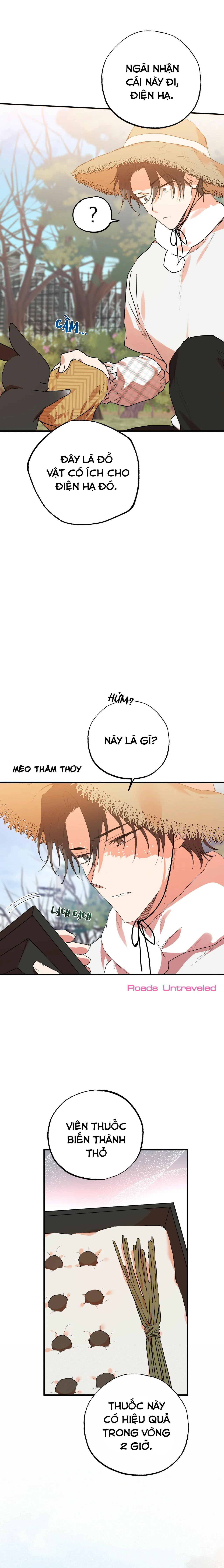 NHỮNG CHÚ THỎ CỦA HABIBI Chapter 10 Trang 30