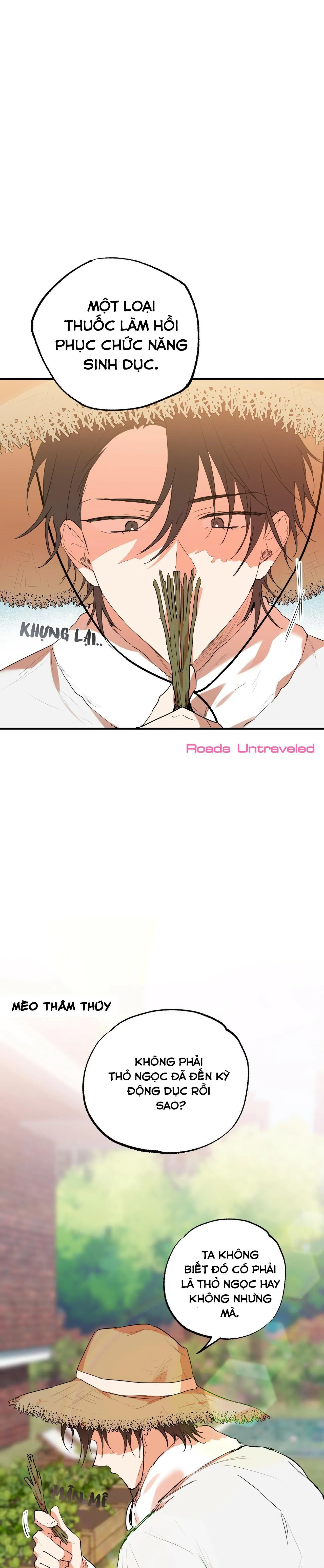 NHỮNG CHÚ THỎ CỦA HABIBI Chapter 10 Trang 32