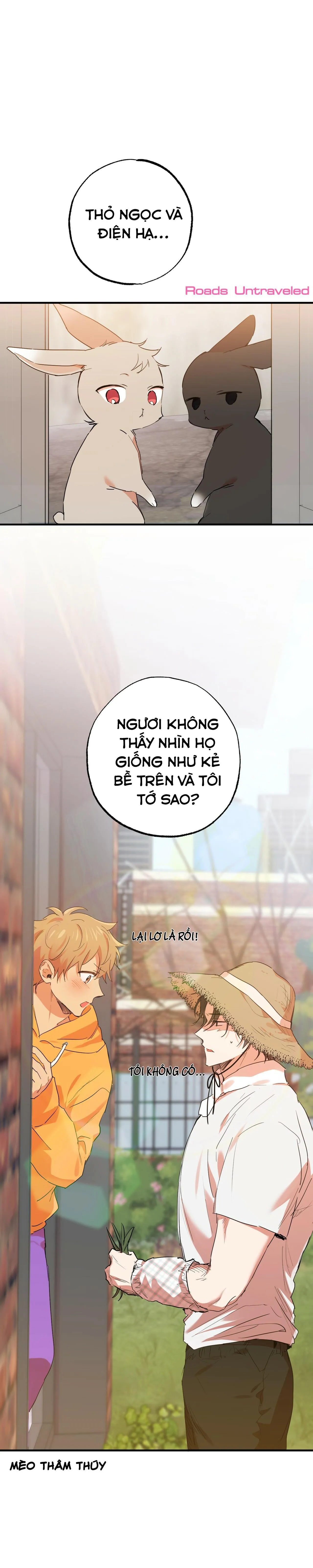 NHỮNG CHÚ THỎ CỦA HABIBI Chapter 10 Trang 36