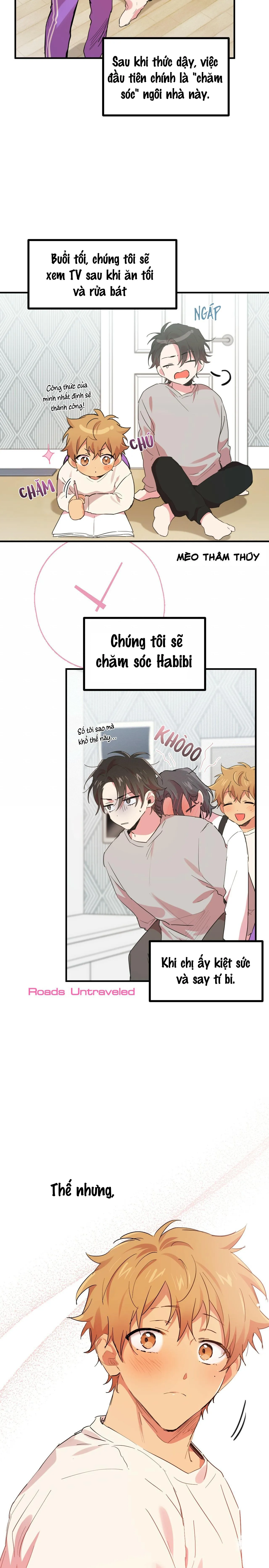 NHỮNG CHÚ THỎ CỦA HABIBI Chapter 11 Trang 4