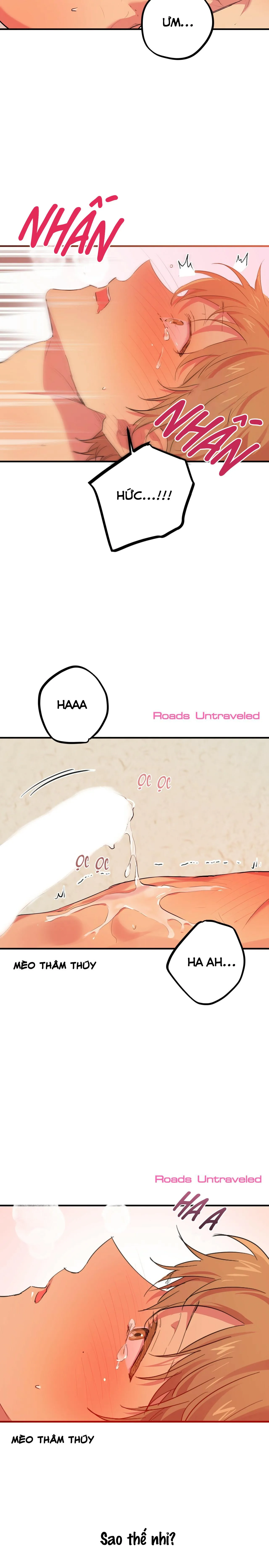 NHỮNG CHÚ THỎ CỦA HABIBI Chapter 11 Trang 21