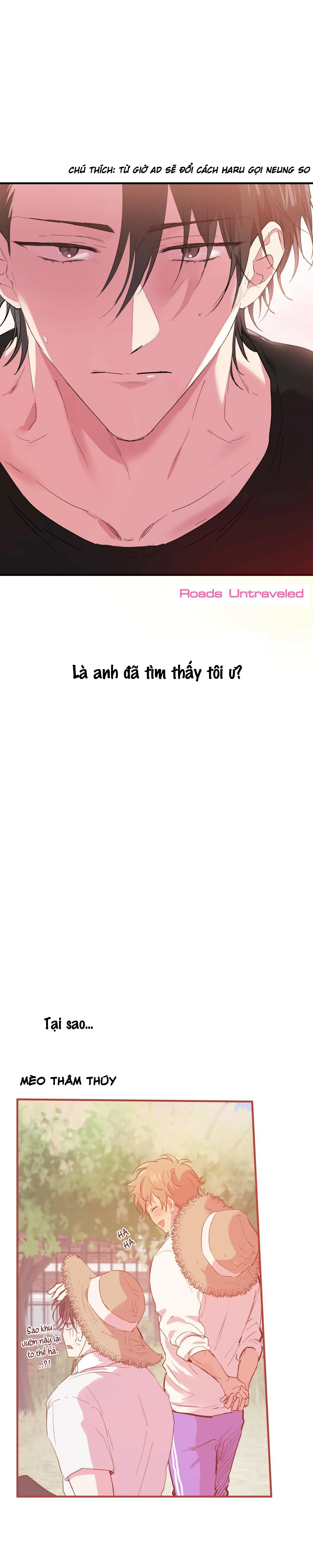 NHỮNG CHÚ THỎ CỦA HABIBI Chapter 11 Trang 22