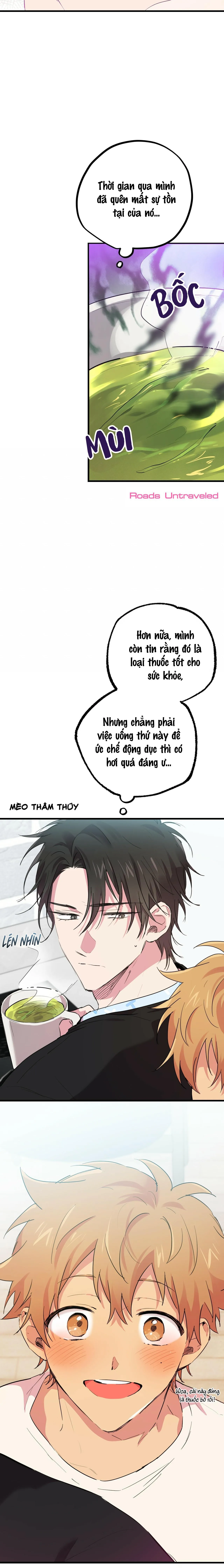 NHỮNG CHÚ THỎ CỦA HABIBI Chapter 12 Trang 21