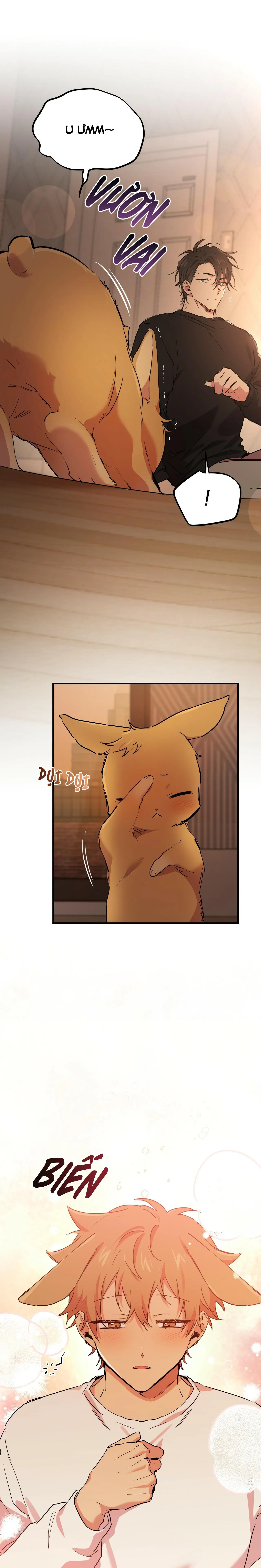 NHỮNG CHÚ THỎ CỦA HABIBI Chapter 13 Trang 4