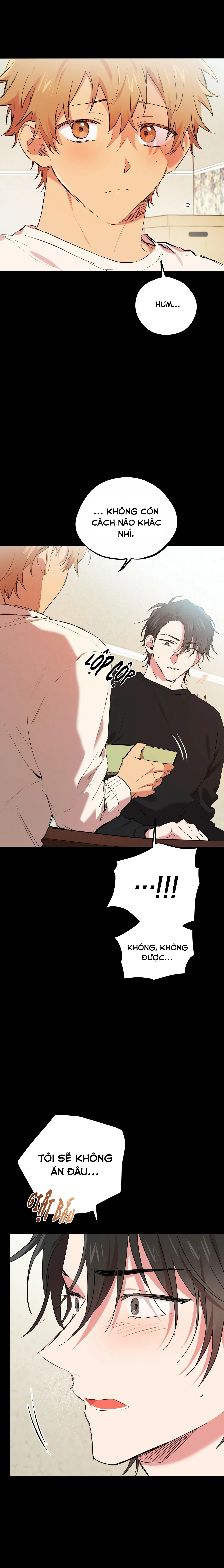 NHỮNG CHÚ THỎ CỦA HABIBI Chapter 13 Trang 14