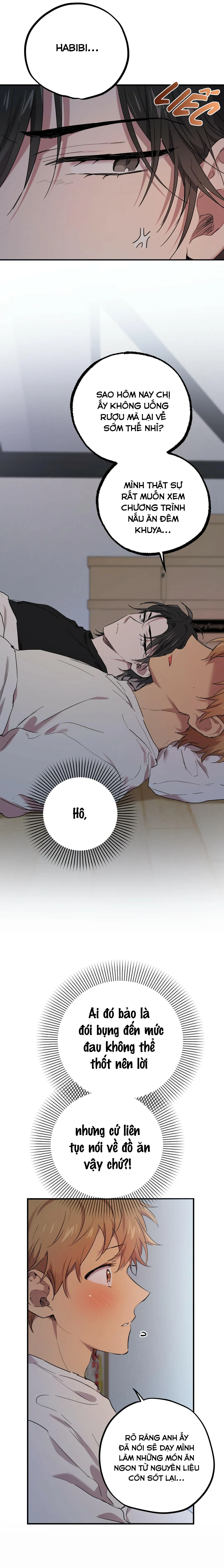 NHỮNG CHÚ THỎ CỦA HABIBI Chapter 13 Trang 17