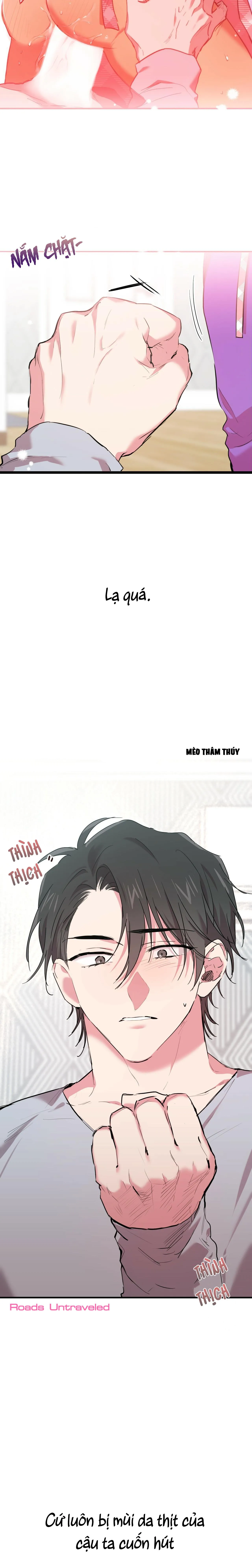 NHỮNG CHÚ THỎ CỦA HABIBI Chapter 15 Trang 29