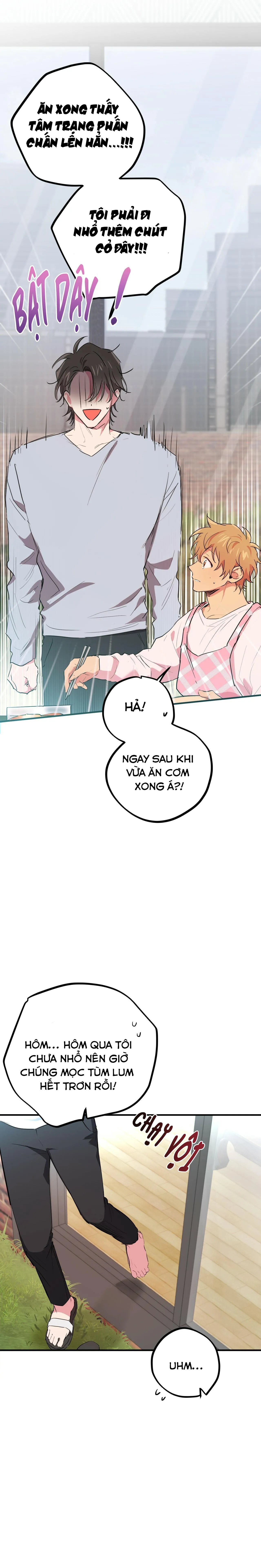 NHỮNG CHÚ THỎ CỦA HABIBI Chapter 16 Trang 5