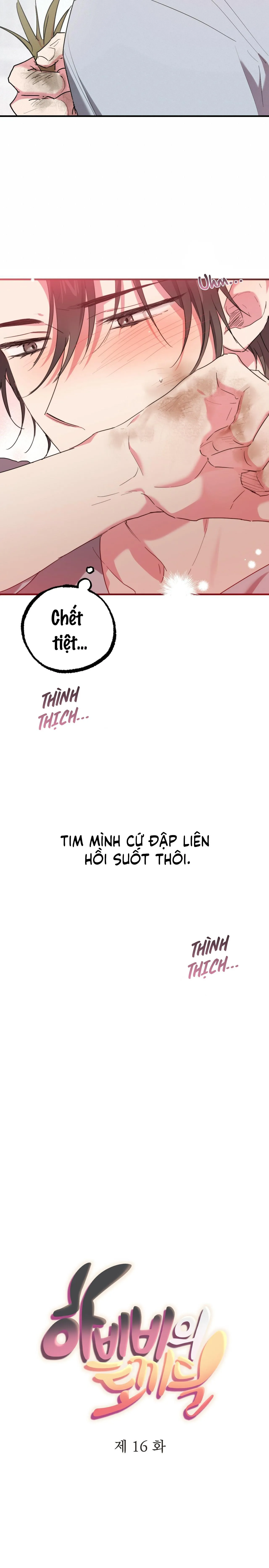 NHỮNG CHÚ THỎ CỦA HABIBI Chapter 16 Trang 7