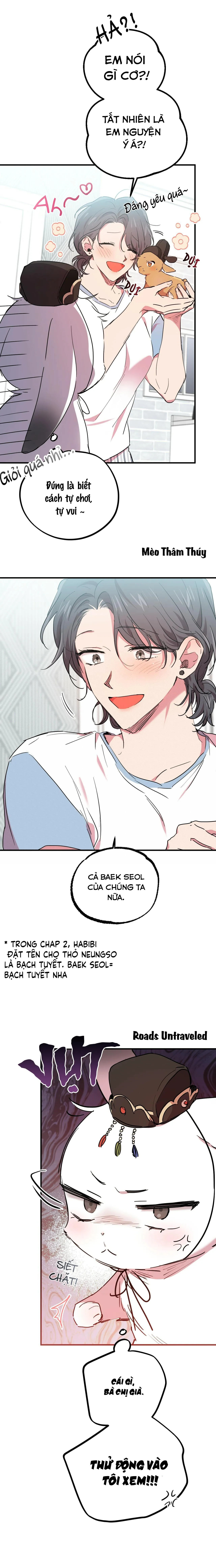 NHỮNG CHÚ THỎ CỦA HABIBI Chapter 16 Trang 10