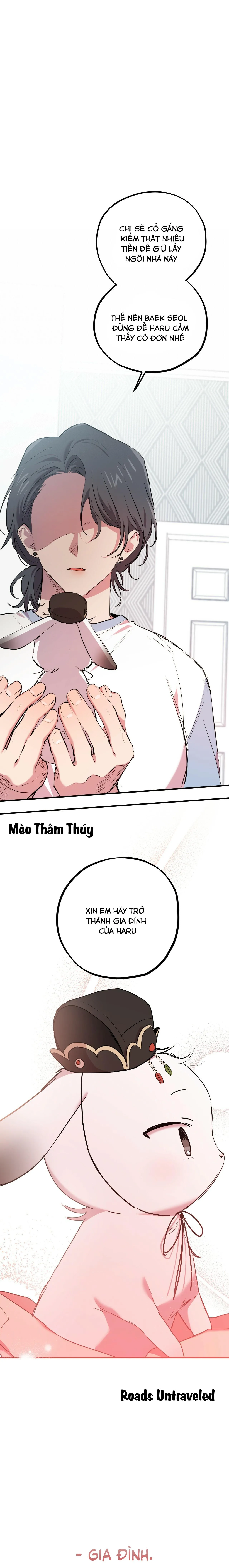 NHỮNG CHÚ THỎ CỦA HABIBI Chapter 16 Trang 13