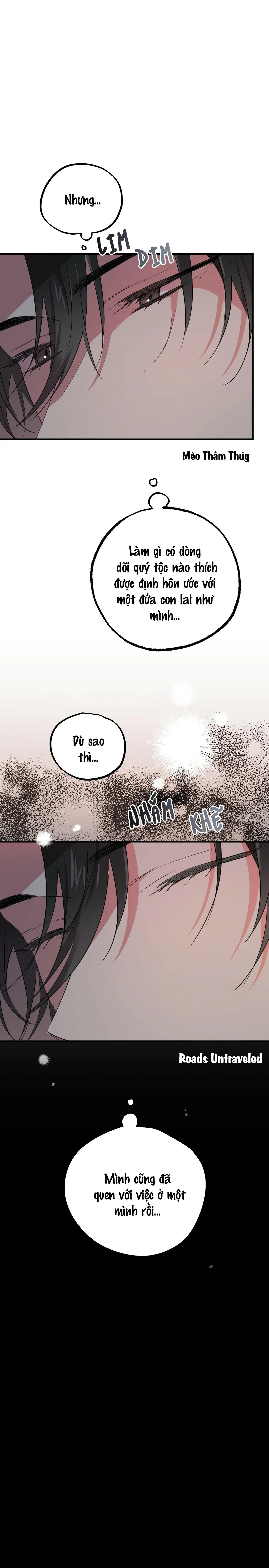 NHỮNG CHÚ THỎ CỦA HABIBI Chapter 16 Trang 17