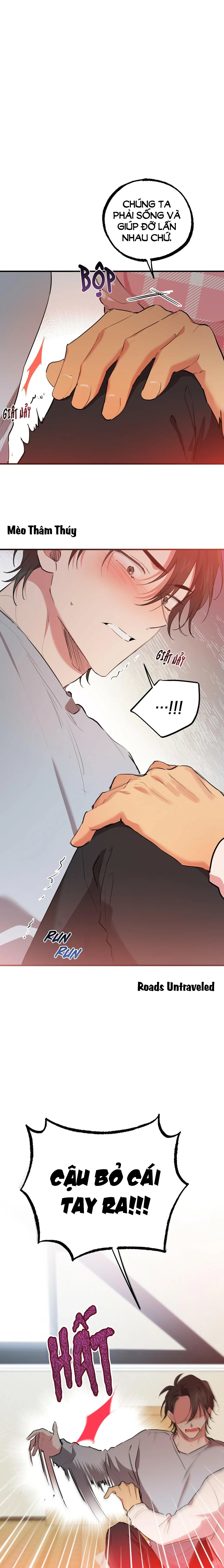 NHỮNG CHÚ THỎ CỦA HABIBI Chapter 17 Trang 12