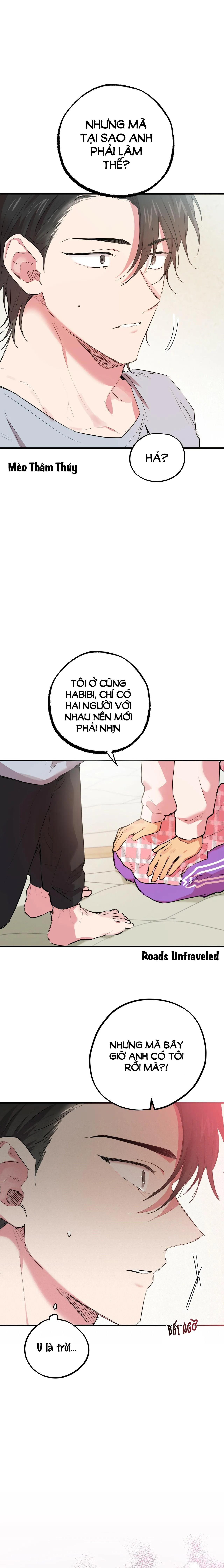 NHỮNG CHÚ THỎ CỦA HABIBI Chapter 17 Trang 15