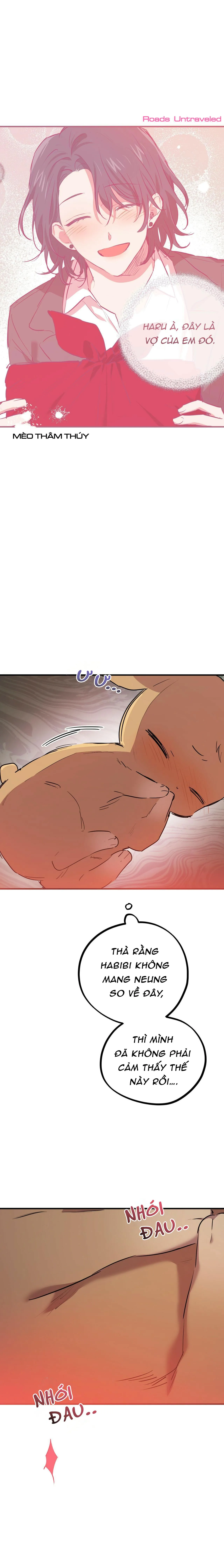 NHỮNG CHÚ THỎ CỦA HABIBI Chapter 18 Trang 12