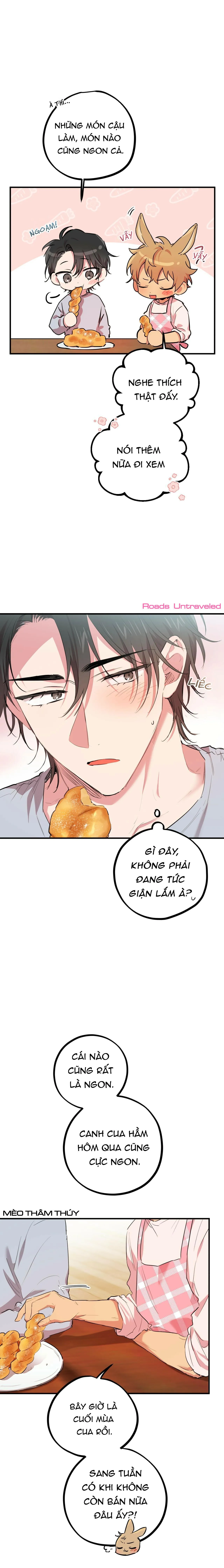 NHỮNG CHÚ THỎ CỦA HABIBI Chapter 18 Trang 17