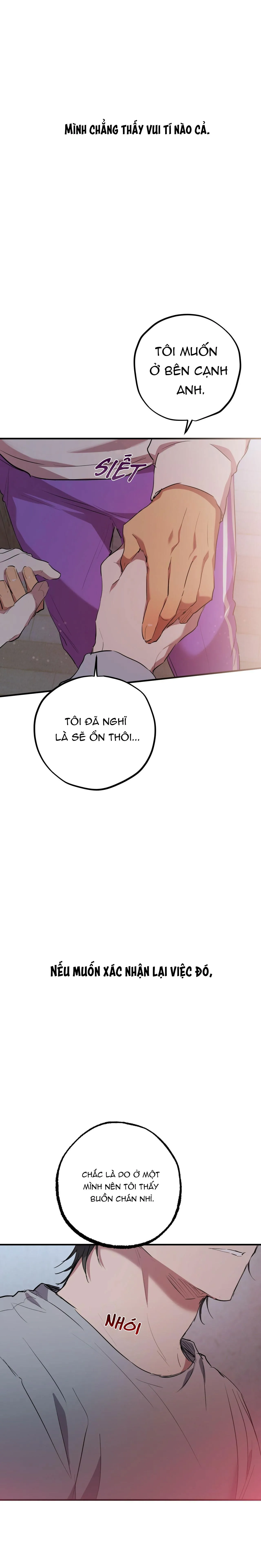 NHỮNG CHÚ THỎ CỦA HABIBI Chapter 19 Trang 5