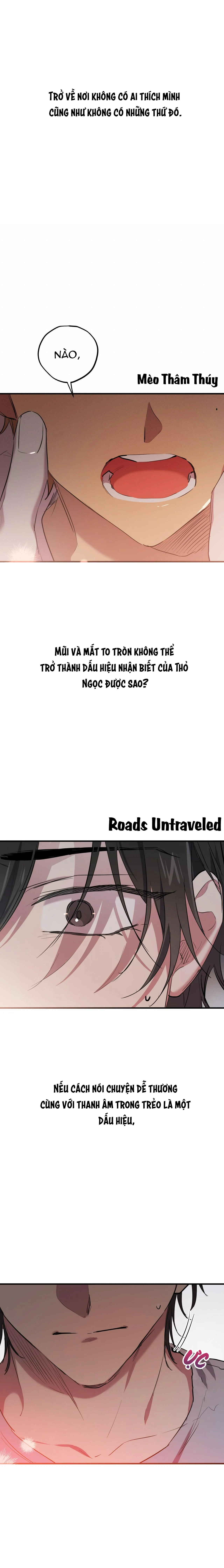 NHỮNG CHÚ THỎ CỦA HABIBI Chapter 19 Trang 7