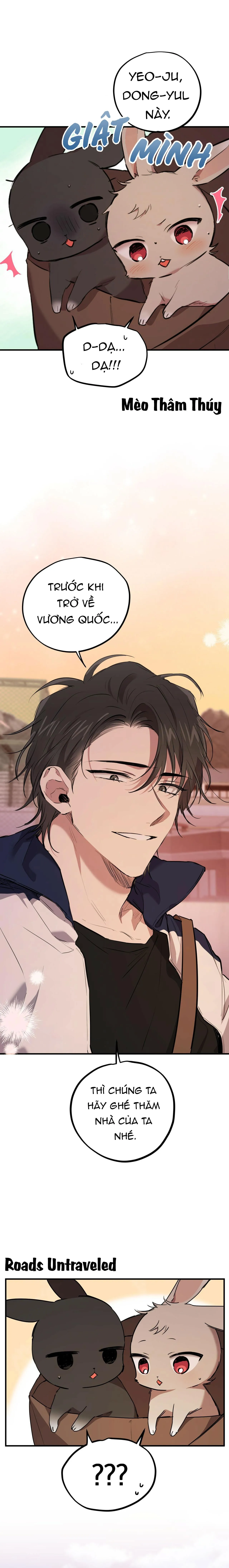 NHỮNG CHÚ THỎ CỦA HABIBI Chapter 19 Trang 11