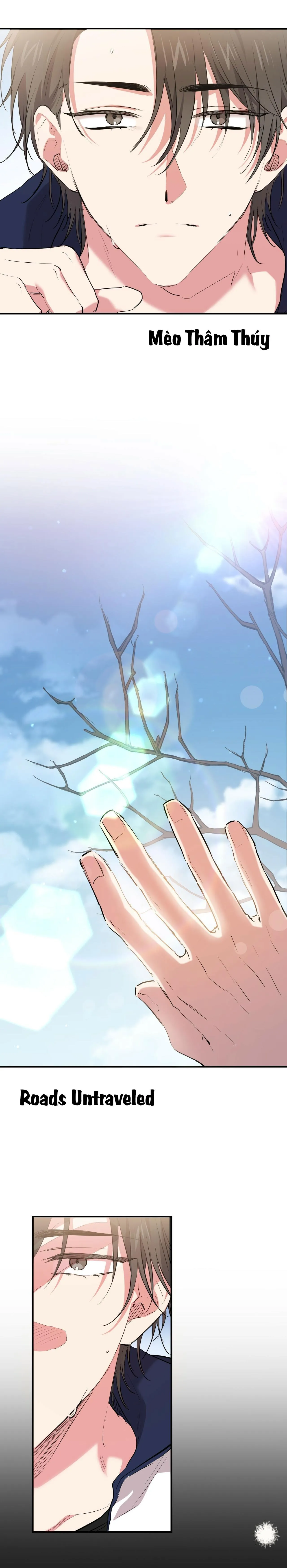 NHỮNG CHÚ THỎ CỦA HABIBI Chapter 19 Trang 14