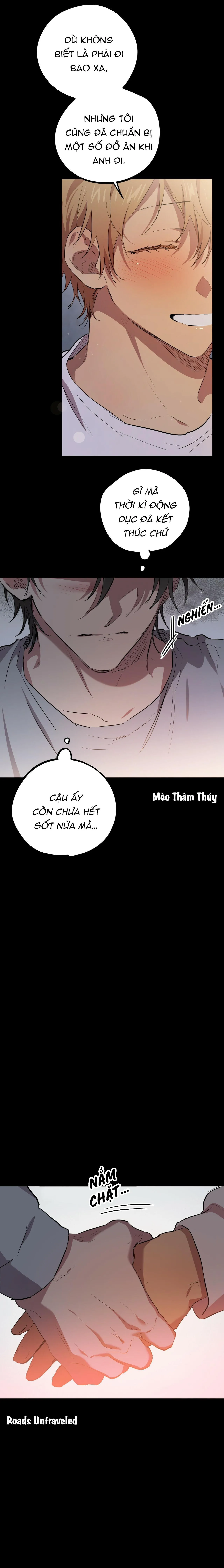NHỮNG CHÚ THỎ CỦA HABIBI Chapter 19 Trang 16