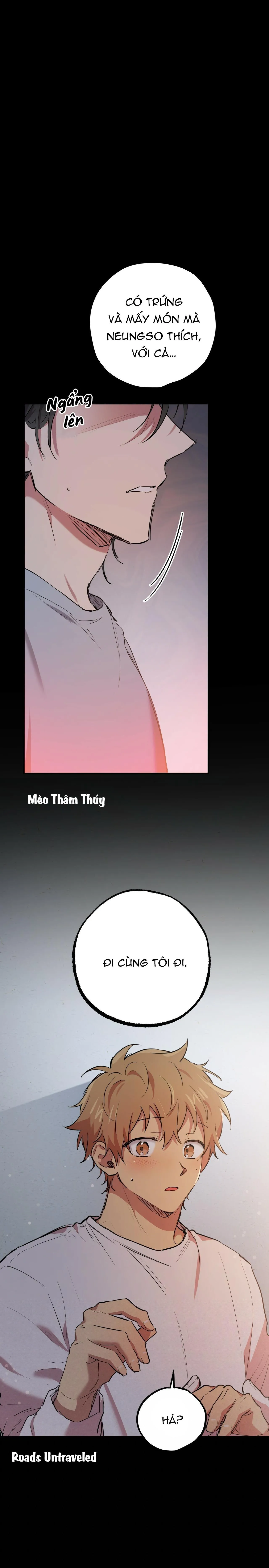 NHỮNG CHÚ THỎ CỦA HABIBI Chapter 19 Trang 17