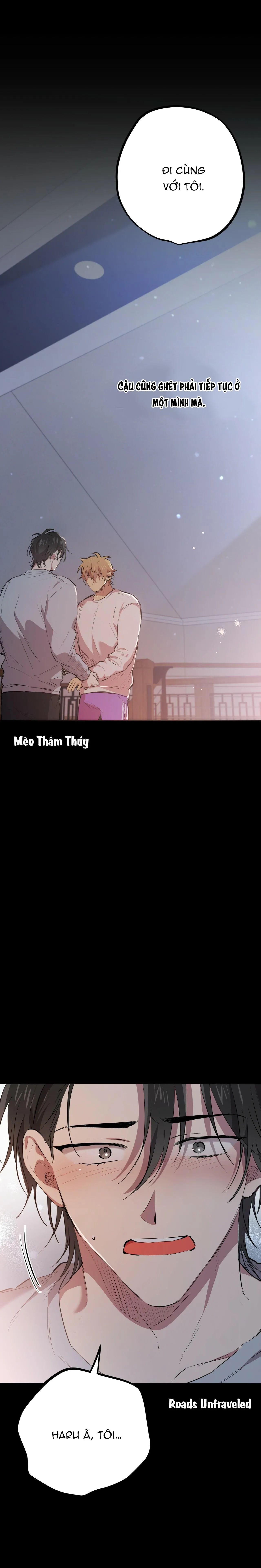 NHỮNG CHÚ THỎ CỦA HABIBI Chapter 19 Trang 23