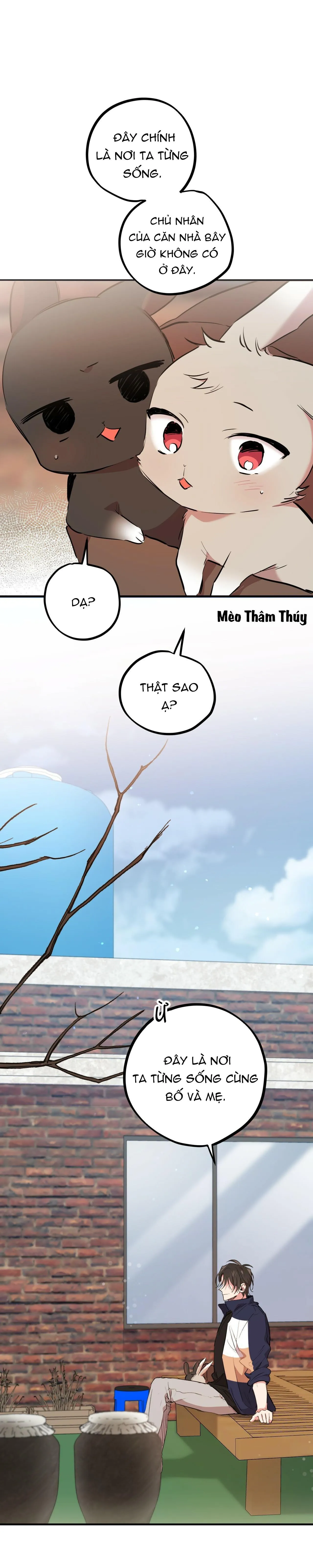 NHỮNG CHÚ THỎ CỦA HABIBI Chapter 19 Trang 26