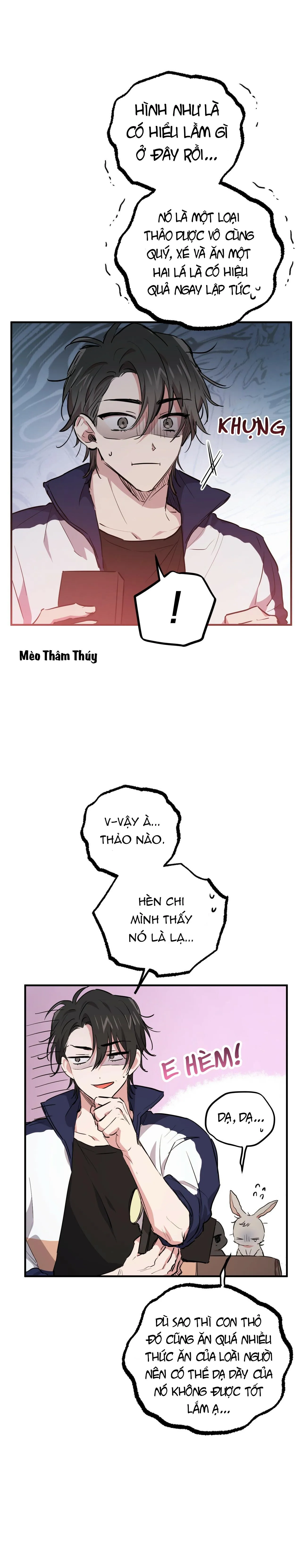NHỮNG CHÚ THỎ CỦA HABIBI Chapter 20 Trang 5