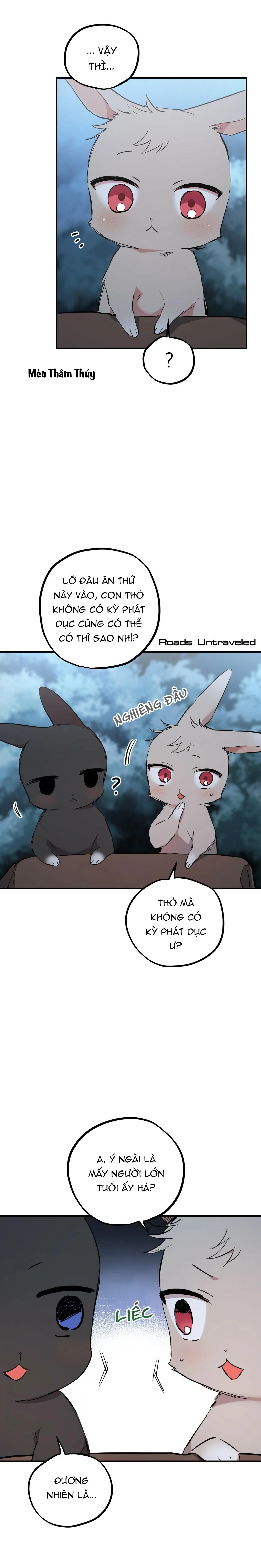 NHỮNG CHÚ THỎ CỦA HABIBI Chapter 20 Trang 6