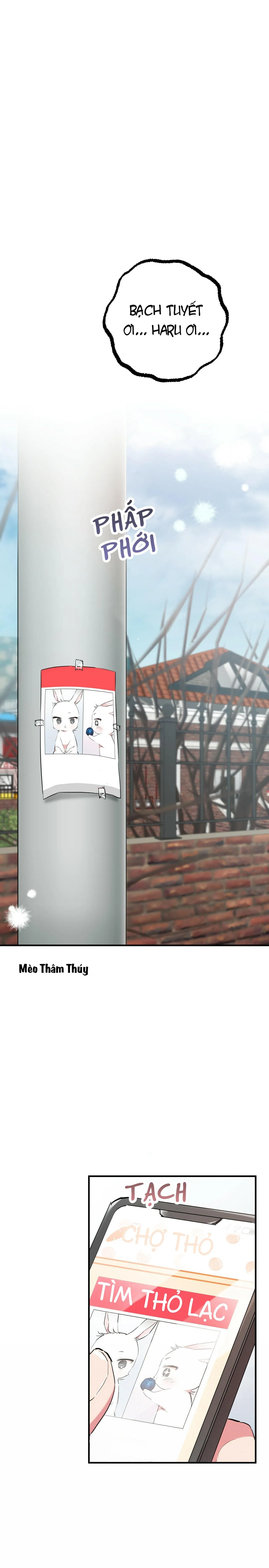 NHỮNG CHÚ THỎ CỦA HABIBI Chapter 20 Trang 21