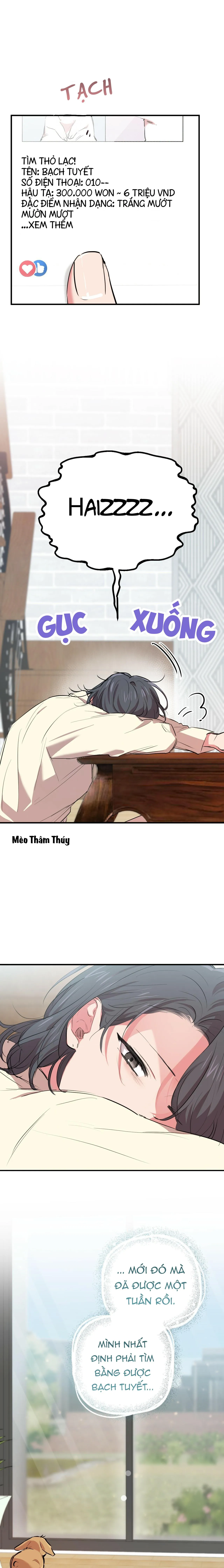 NHỮNG CHÚ THỎ CỦA HABIBI Chapter 20 Trang 22